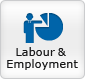 Labour & Employment